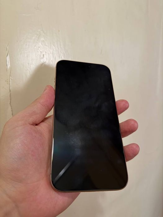 iPhone 16 pro max