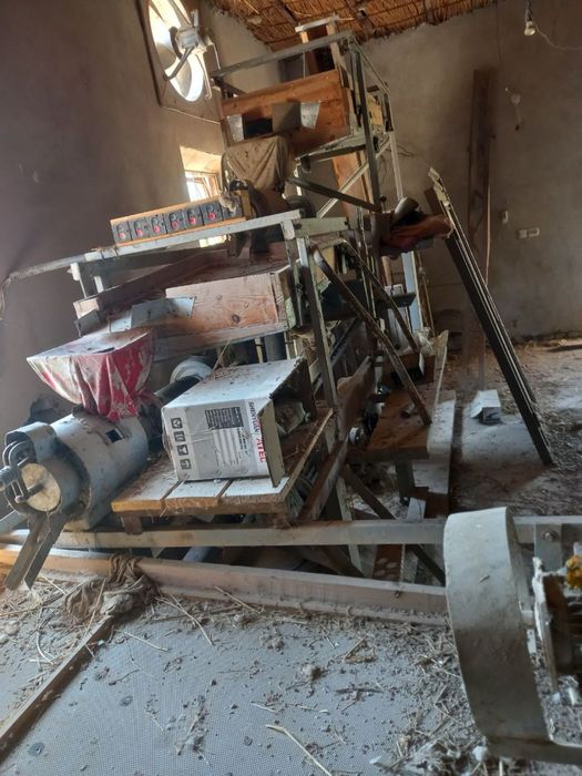 Sholi xoroz sotiladi