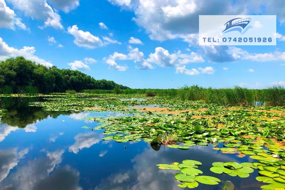 Excursii cu barca în Delta Dunării - Plecare din Mahmudia, jud. Tulcea