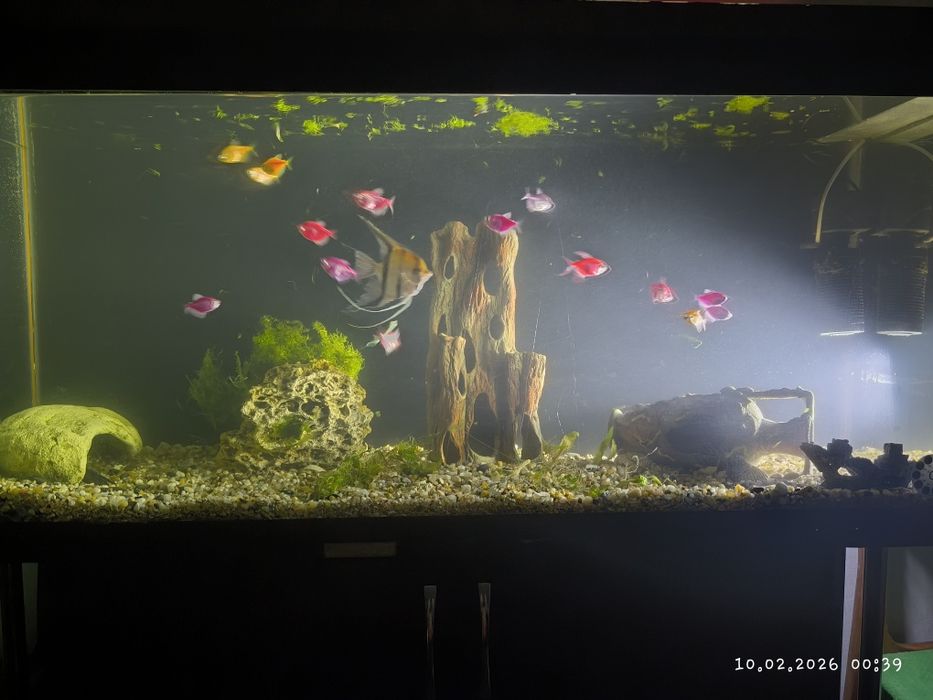 Аквариум 250 литров (стекло)