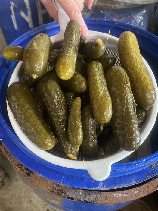 Castraveti murati si varza murata de vanzare