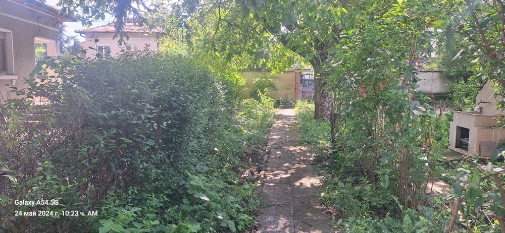 Косене и Почистване на дворове и стари къщи.рязана на опасни дървета