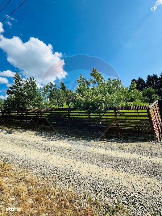 Teren 1,600mp Sighetu Marmatiei / Strada Doboies