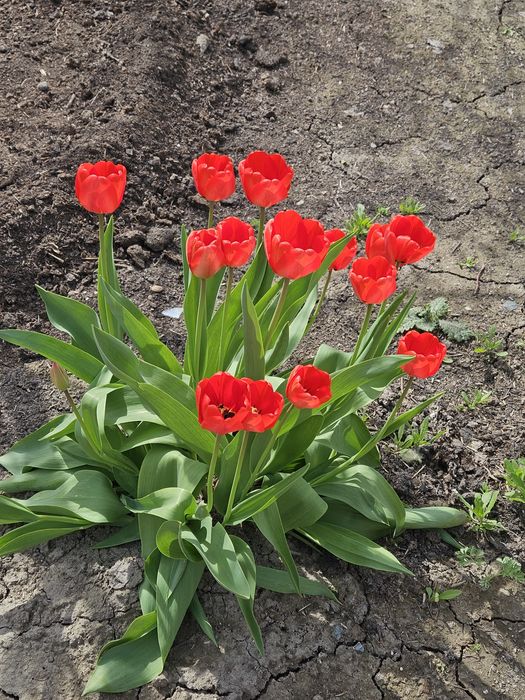 Продам Мансардный дом