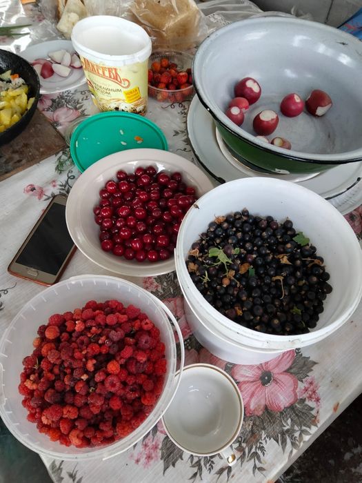 Дача продаётся оптимист(бывшая Литейшик)