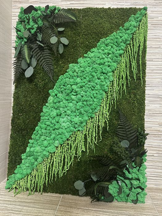 Tablouri cu licheni,muschi si plante stabilizate