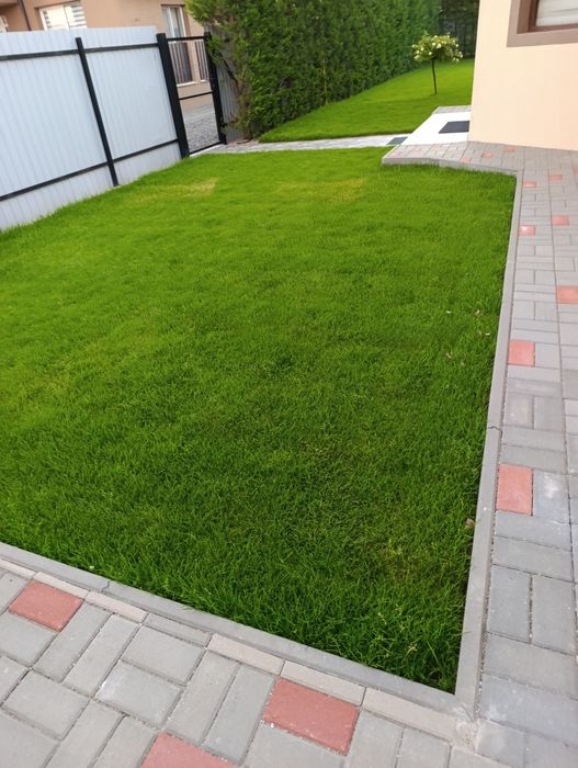 Irigații,Rulou de gazon sau însămânțat Salaj