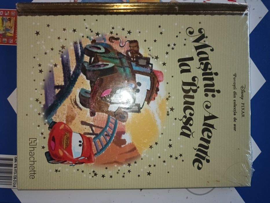 Carte copii: Atentie la Bucsa