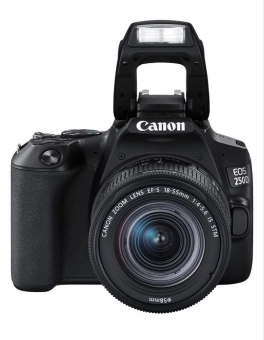 Фотокамера Canon EOS 250D EF-S 18-55 IS STM Kit