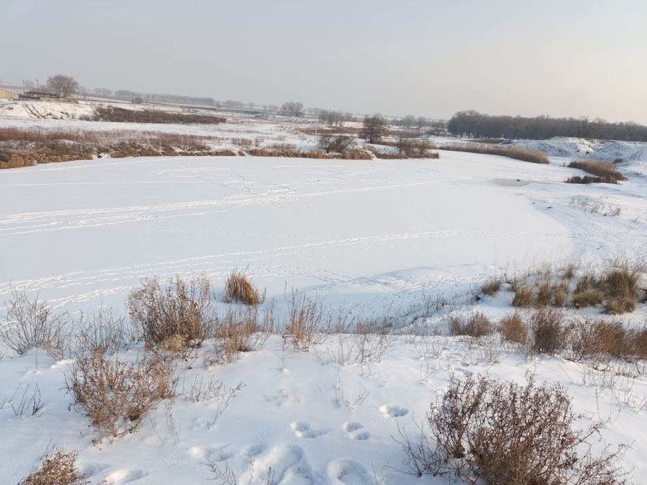 Фазенда земля отдых рыбалка
