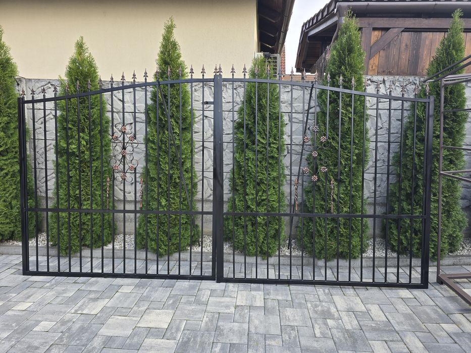Vând poarta  din fier Dimensiuni  4m L /1,8m i poarta mica 1m/1,8m