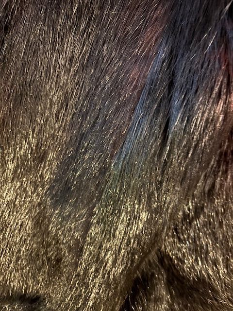 Haina de blana de nurca neagra -  NOUA, impecabila - marime L-XL