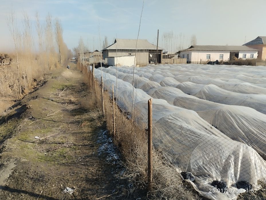 13 000 $. Uchastka sotiladi!