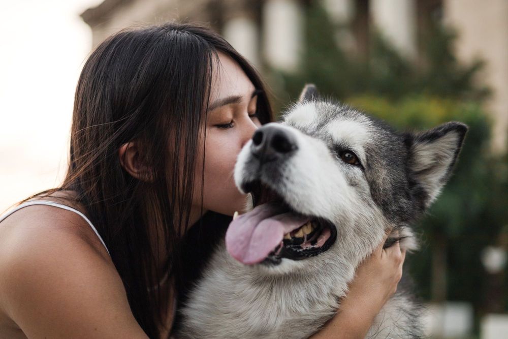 фотосессия с волком
