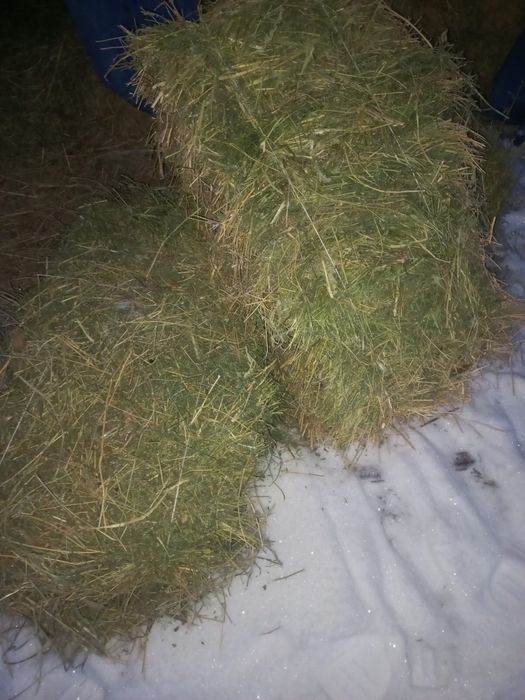 Продам Сено,крупные тюки