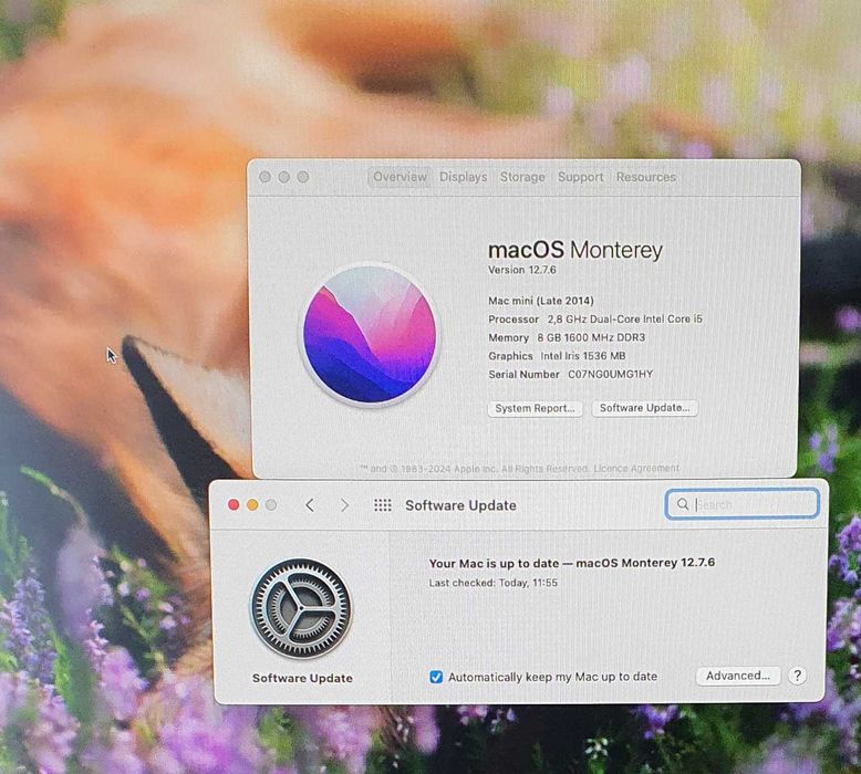 Mac Mini late 2014 8Gb DDR3