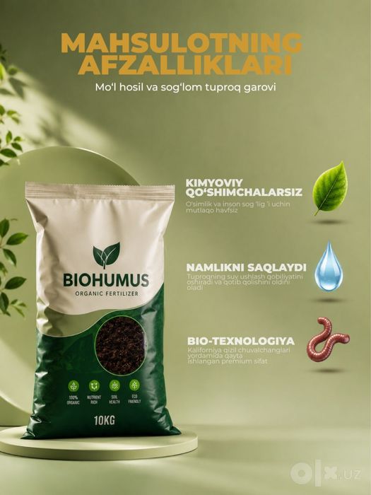 Grafik dizayn, infografika xizmati