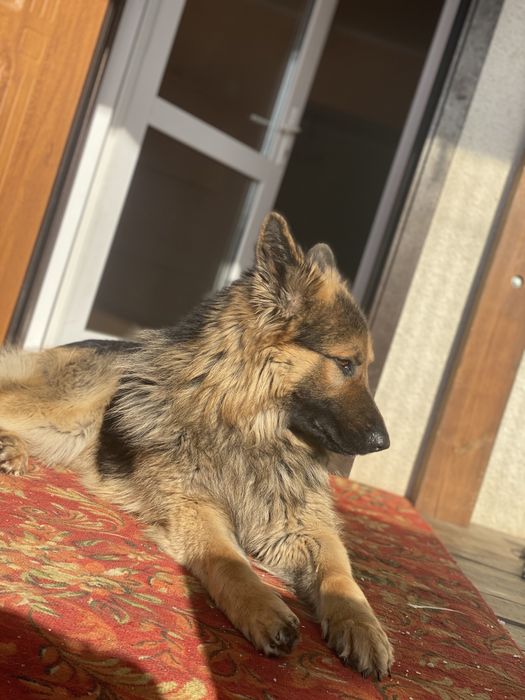 Кабель ВЕО на вязку