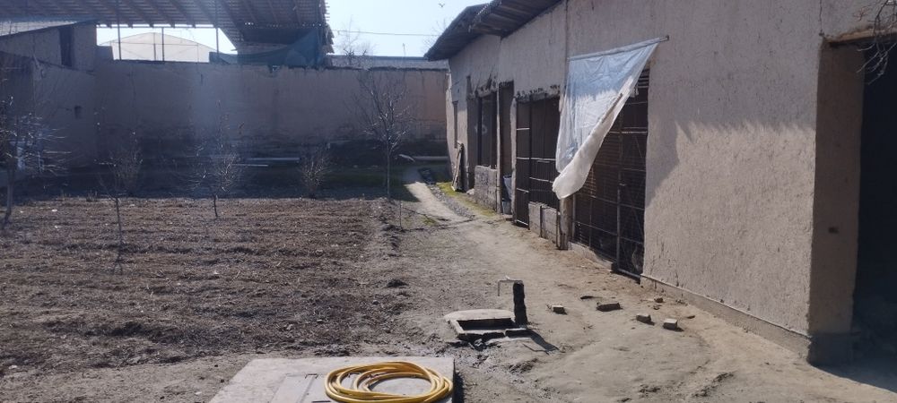 Yer toshkent tumanida keles