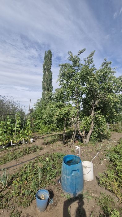 продам дачу в садоводстве Северный