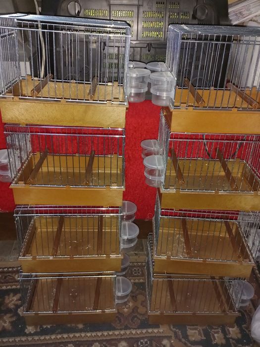 Set colivii de cântec