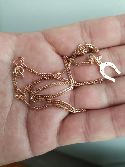 Цепочка с кулоном подкова