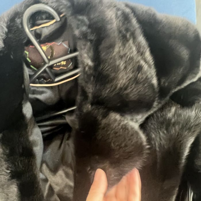 Шуба,Автоледи