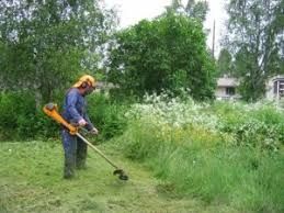 Întreținere spații verzi, contract - factură