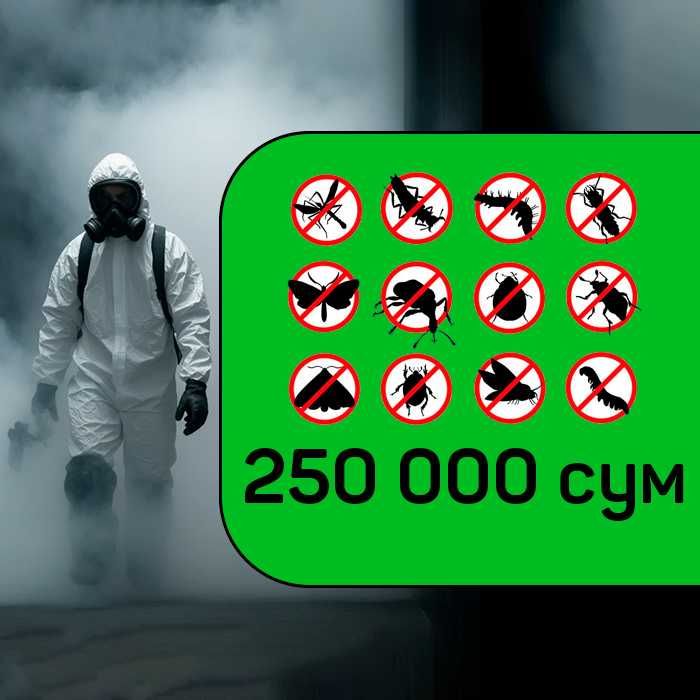 Дезинфекция клапа клоп таракан крыс Dezinfeksiya dezenfeksiya D23