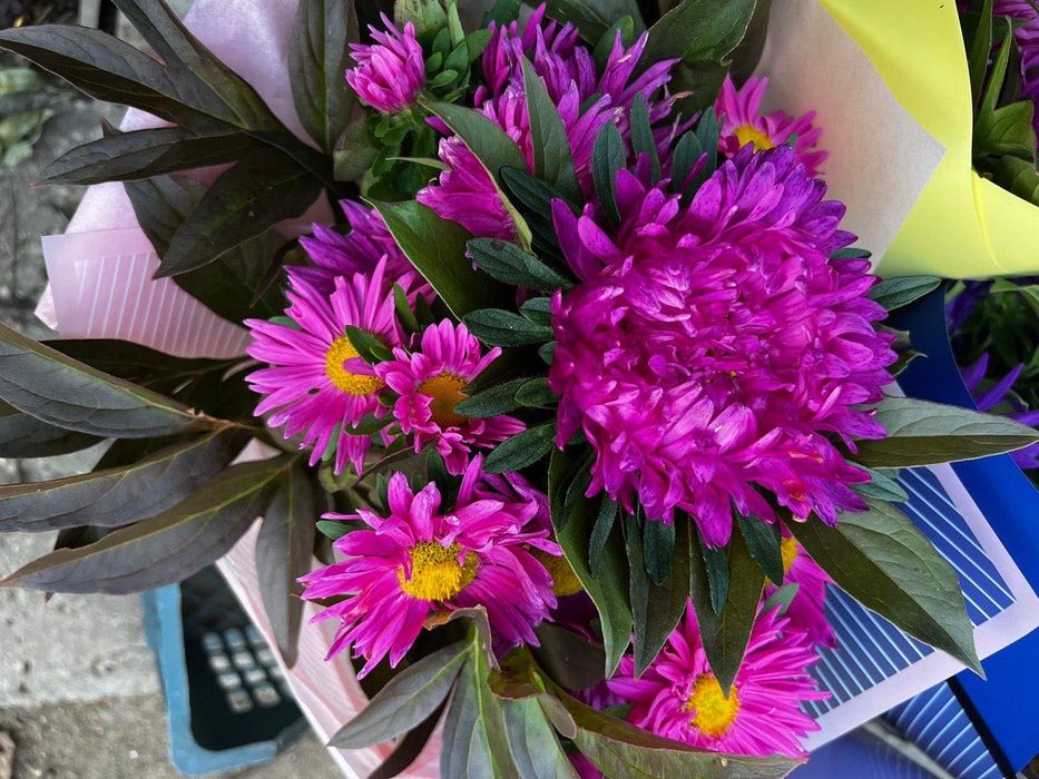 Продам многолетние цветы