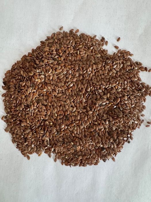 Куплю лён. Самовывоз.