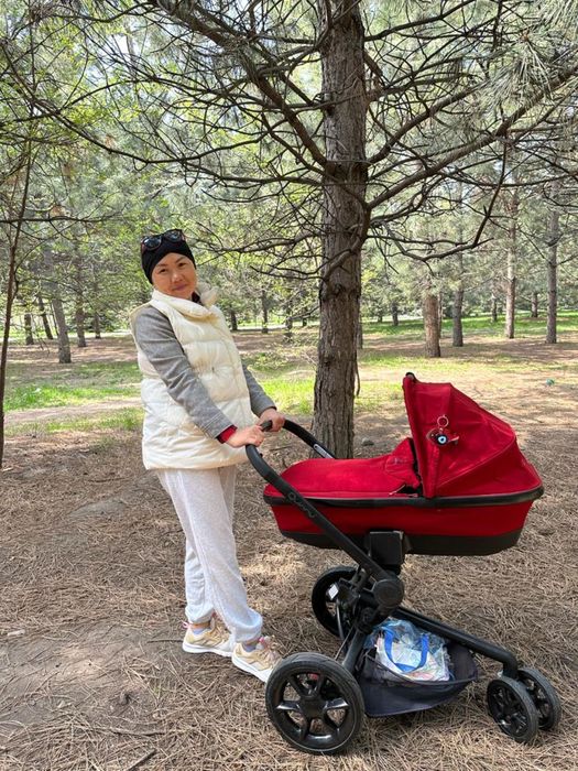 Коляска 2 в одном