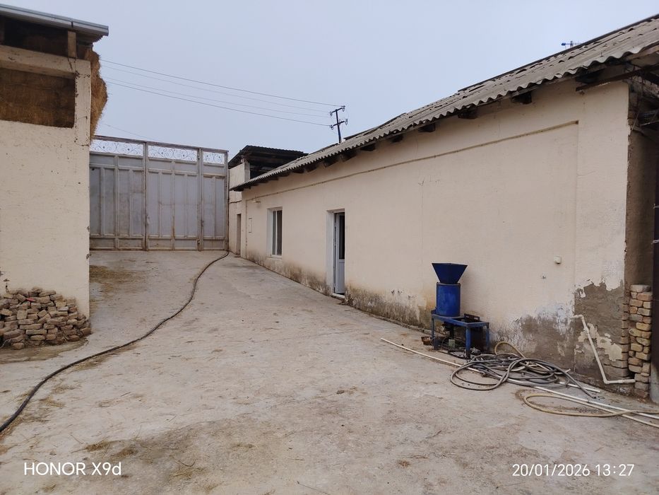 Ferma Yangi yo'lda sotildi Hamroqulda