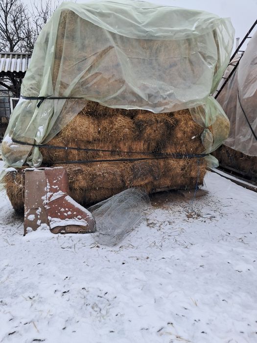 Baloti lucerna coasa 2.3.4