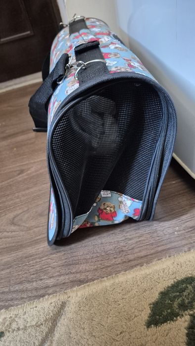 Рюкзак для носки кошек