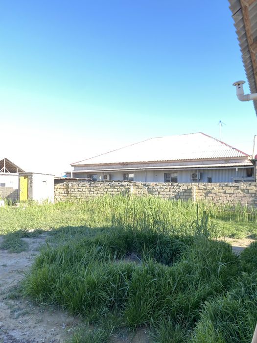 Шөп бар тегін алсаңыздар болады сиыр қойға