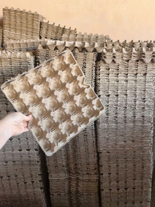 Латок яйцо  латок