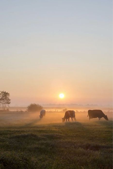 Крестьянское хозяство