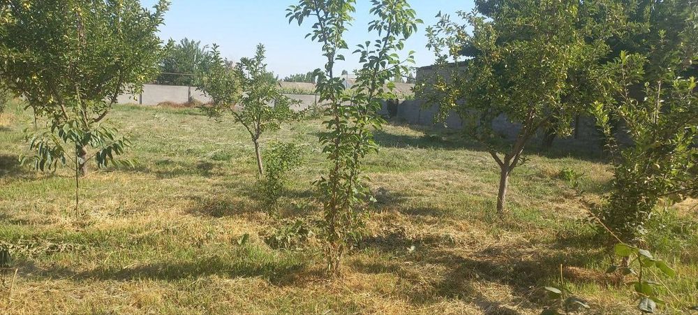 Продоётся земля   .