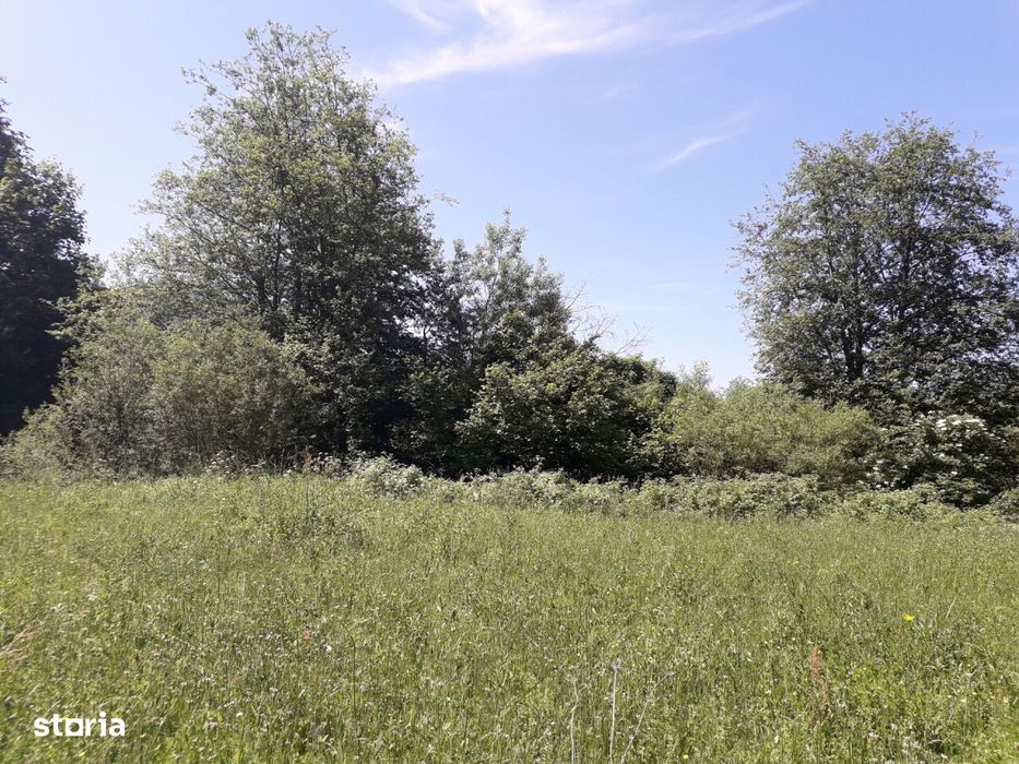 Teren Rusca  - Caras Severin