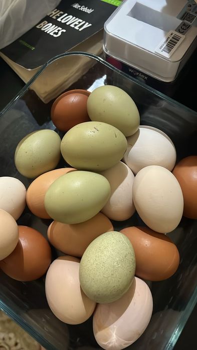 Продам домашние яйца
