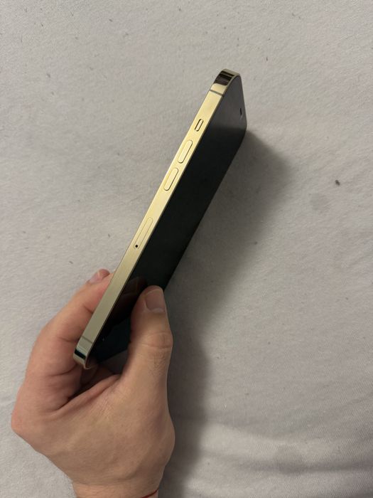 iphone 12 Pro Max  256