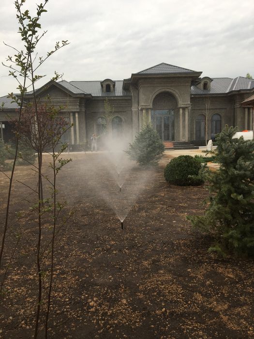 Paliv fantan qilamiz, gazon uruglari, tayor gazon