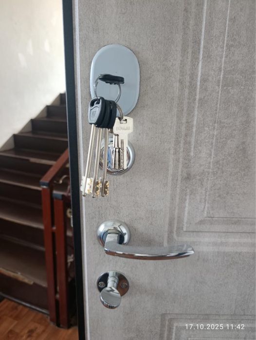 Входная металлическая дверь