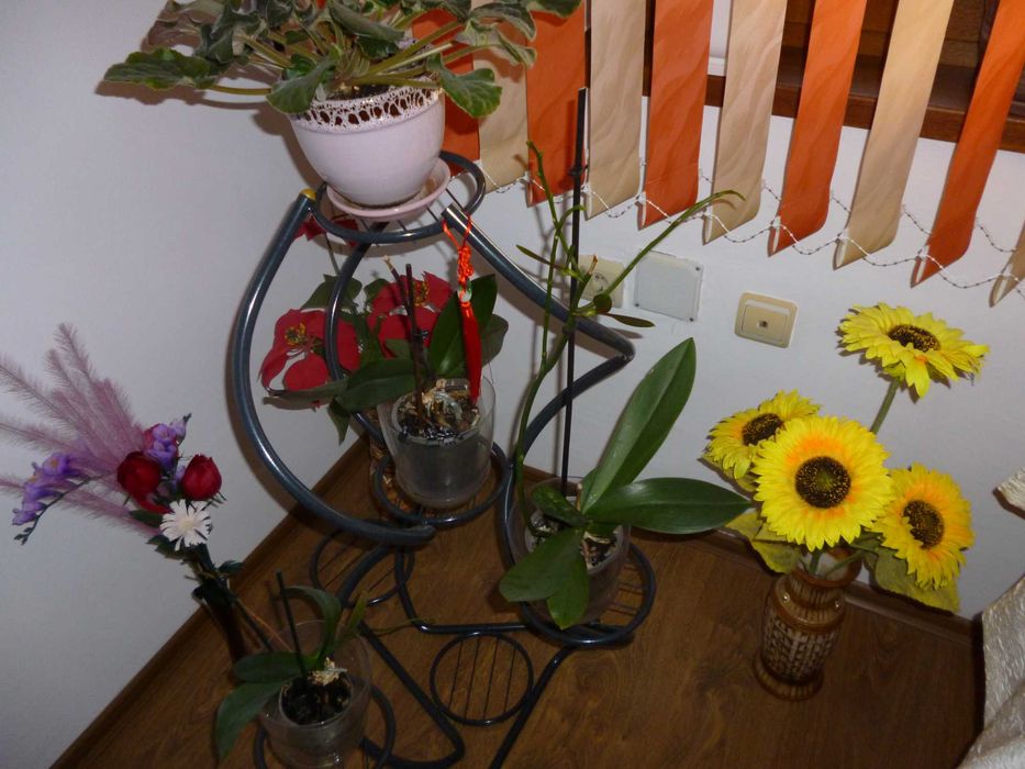 Panasonic Lumix DMC-FS18  16 MPx