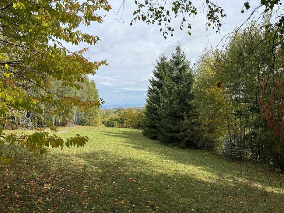 Vand in Rasca teren superb cu padure, pasune, pomi fructiferi si o mica cabana