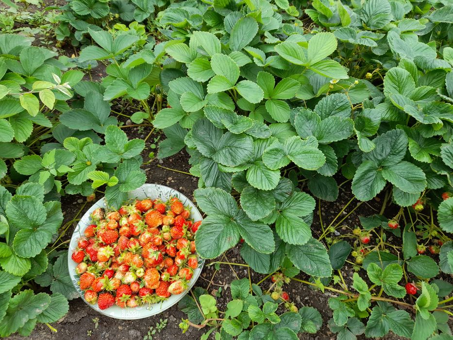 Коттедж 2-хэтажный.