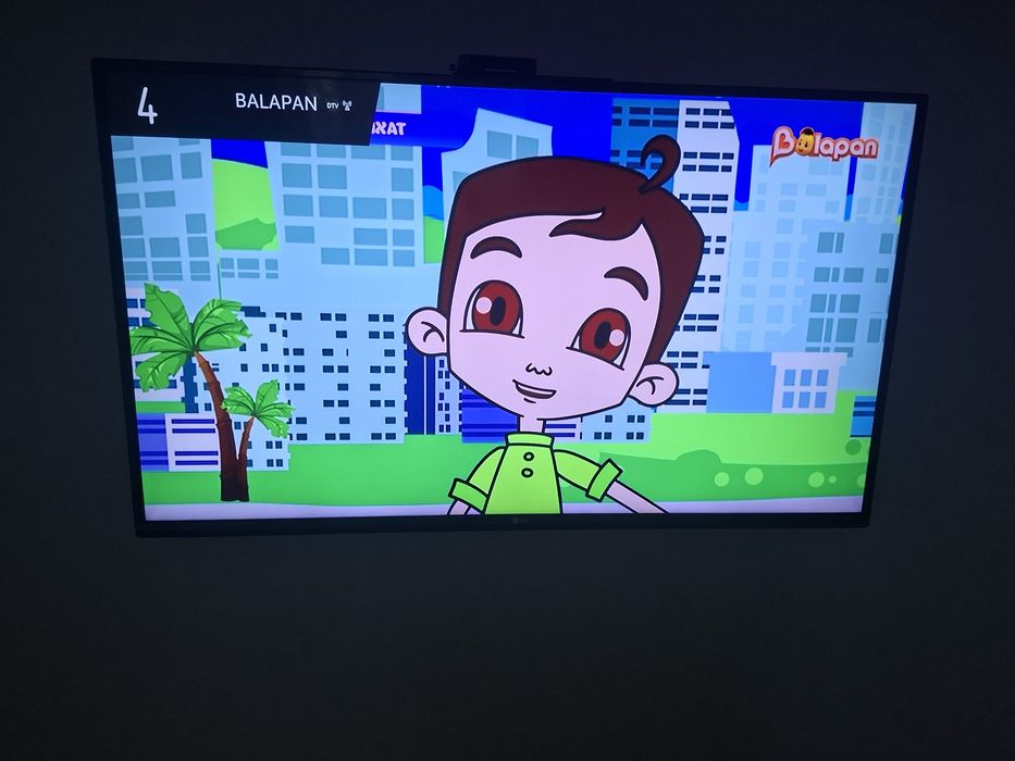 Телевизор для дома.)