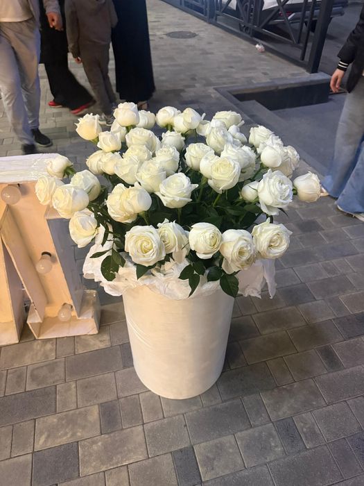 Цветы: белые розы в коробке (срочно)