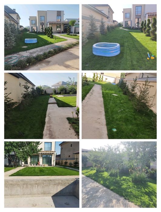 Газон/Автополив г.Шымкент